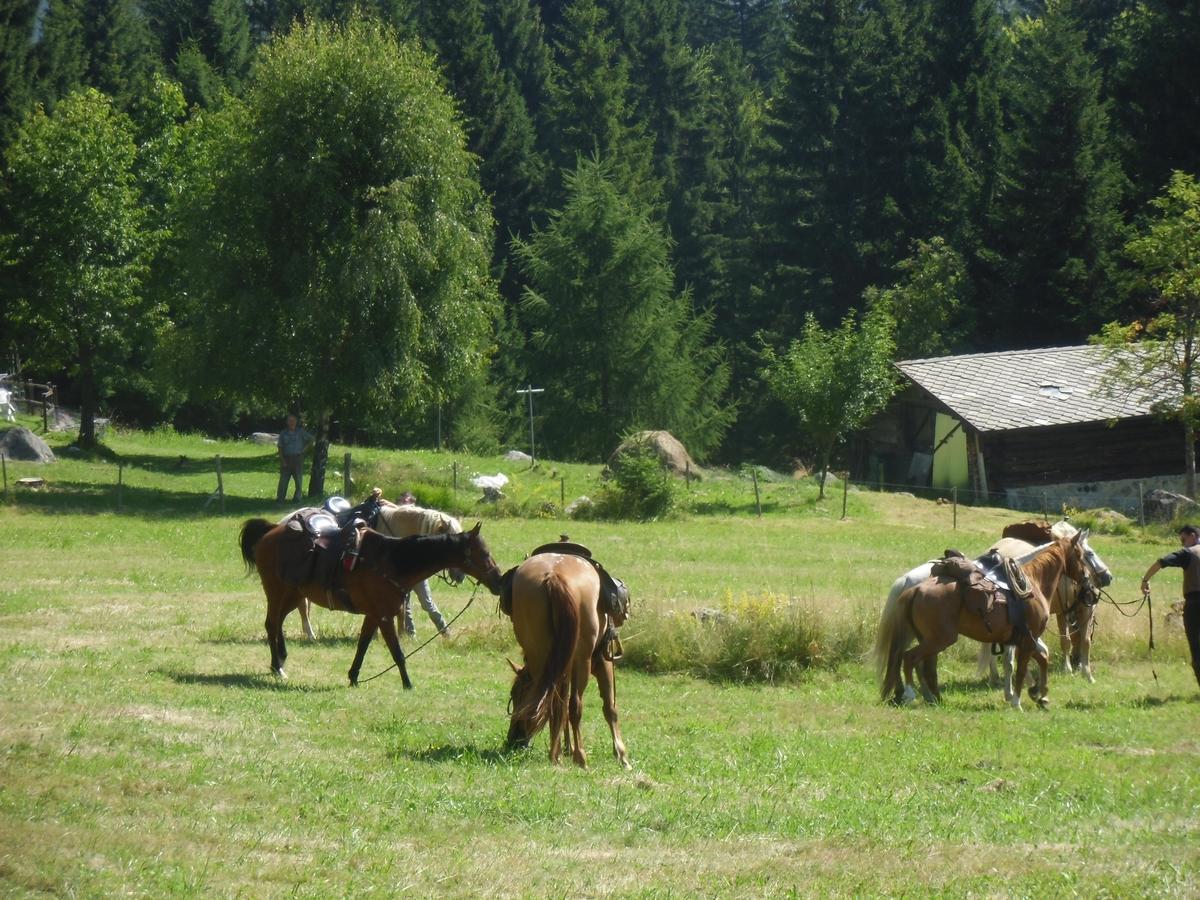 Locanda La Ruscoletta Telve Luaran gambar